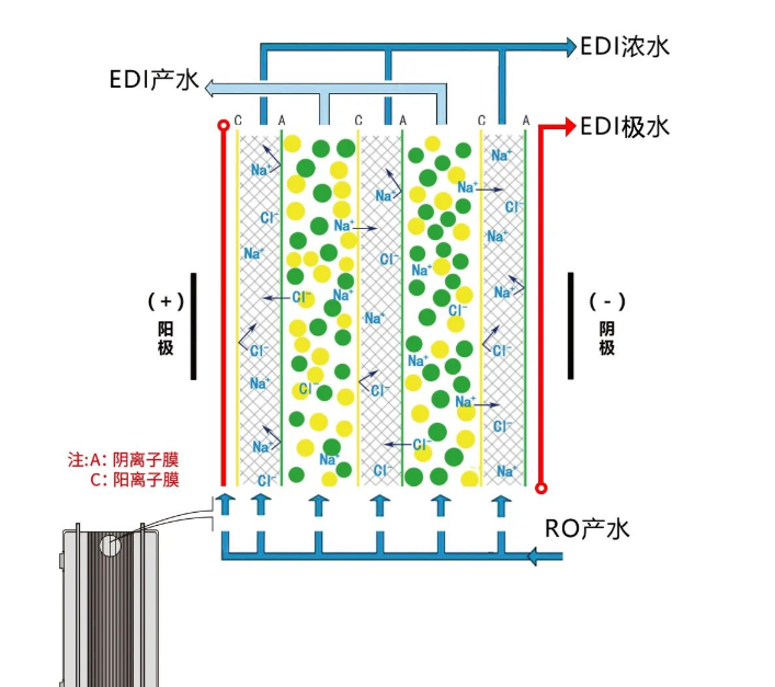 反渗透+EDI和传统离子交换区别在哪里